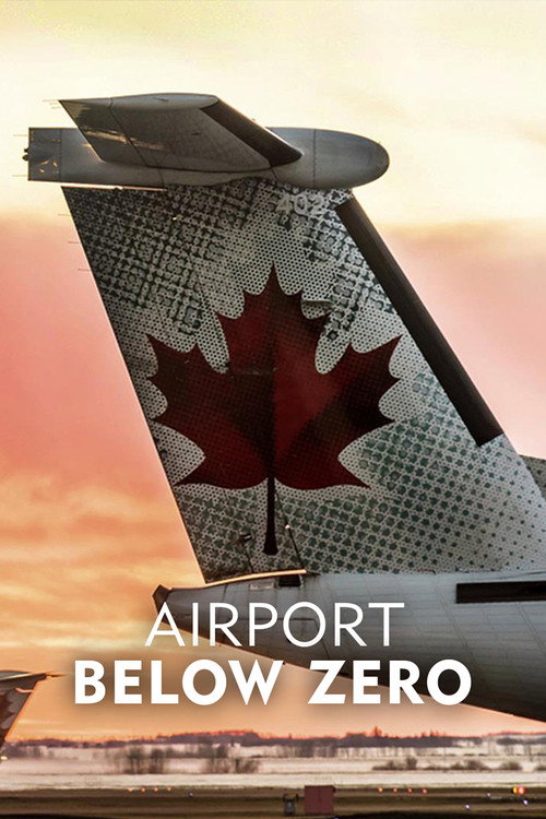 Series poster for Airport: Below Zero (2016)