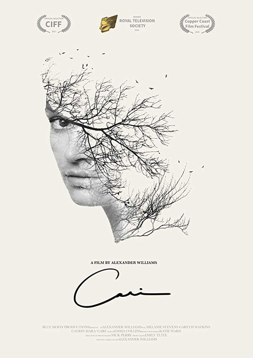 Movie poster for Cari (2018)