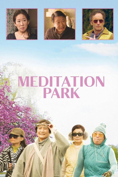 Movie poster for Meditation Park (2017)