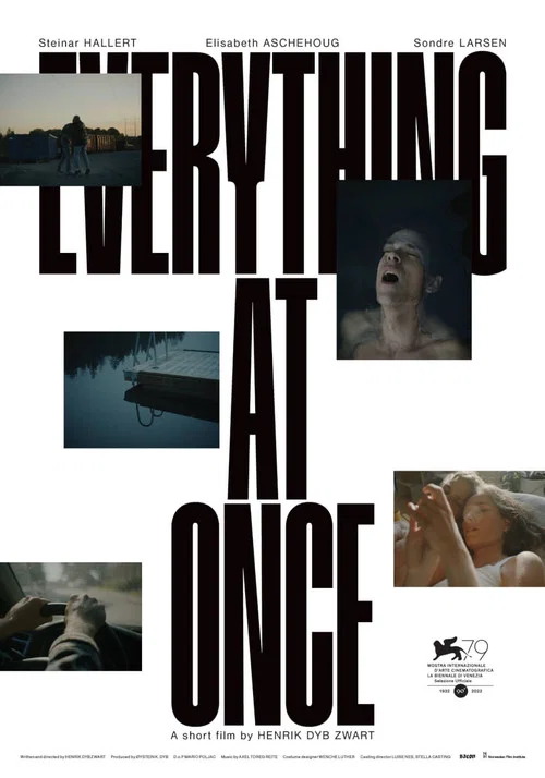 Movie poster for Everything at Once (2022)