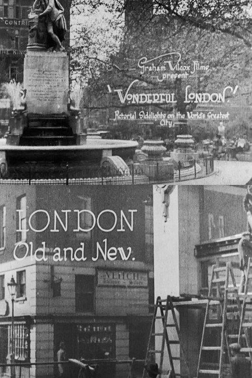 Movie poster for Wonderful London: London Old and New (1924)