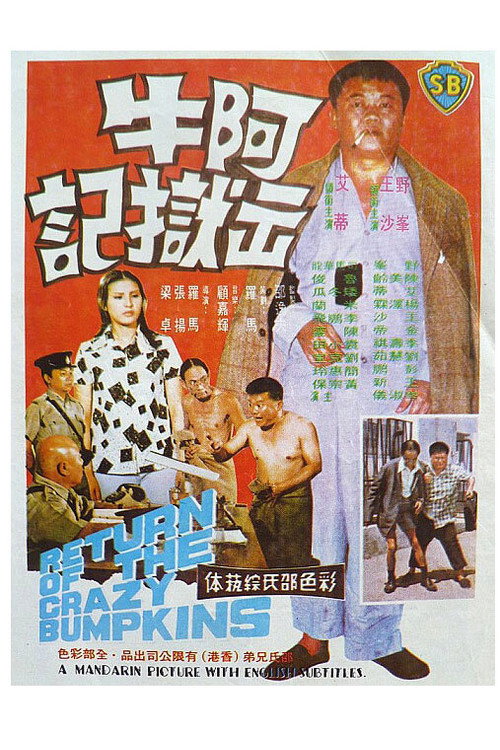 Movie poster for Return of the Crazy Bumpkins (1975)