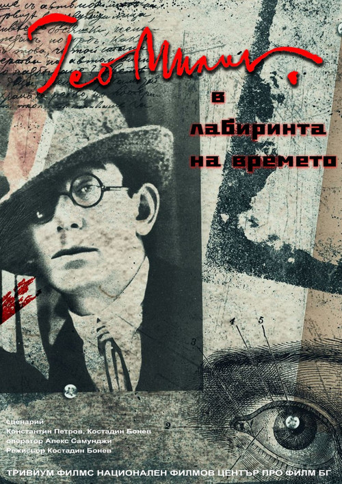 Movie poster for The Poet In The Labyrinth Of Time (2022)