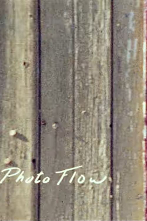 Movie poster for Photo Flow (1981)