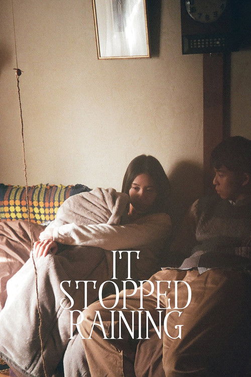 Movie poster for It Stopped Raining (2020)