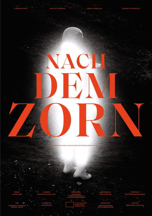 Movie poster for Nach dem Zorn