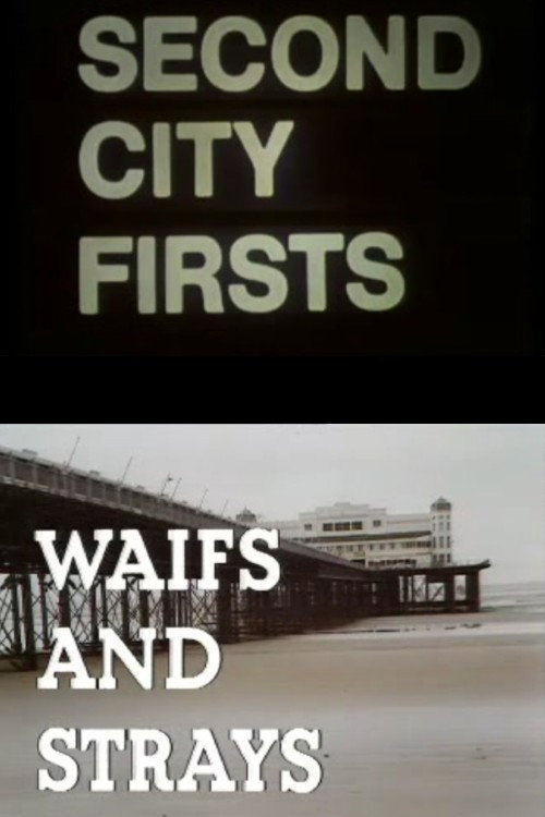 Movie poster for Waifs and Strays (1977)