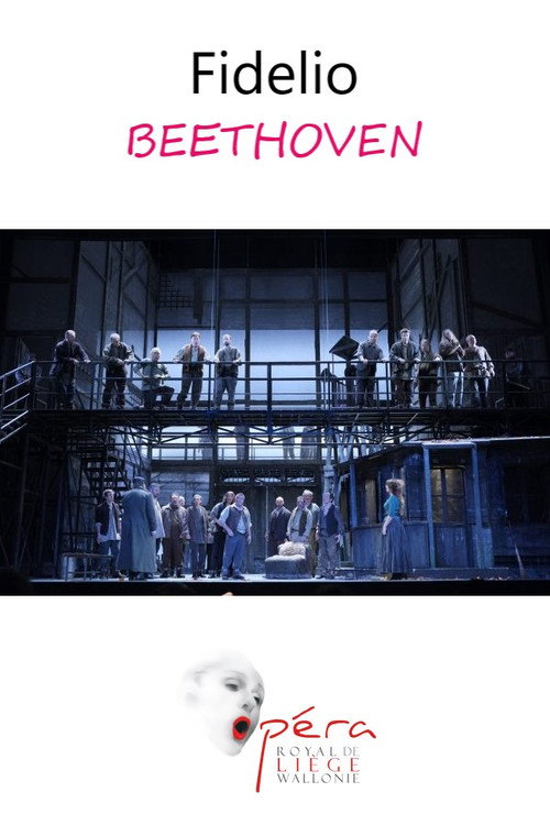 Movie poster for Fidelio - Opéra Royal de Wallonie-Liège (2014)