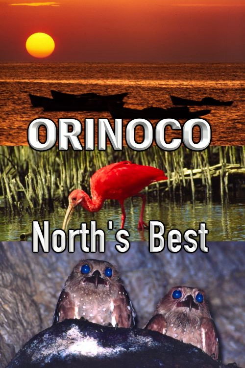 Movie poster for Orinoco, North’s Best (2005)