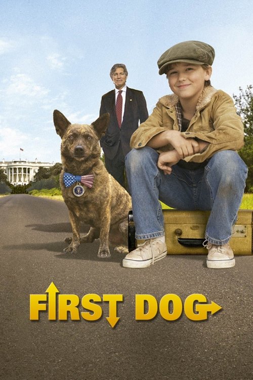 Movie poster for First Dog (2010)