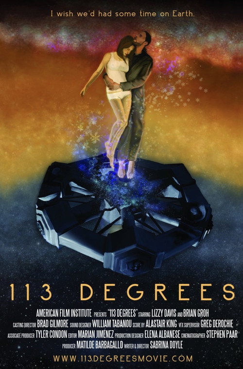 Movie poster for 113 Degrees (2013)
