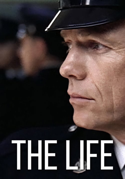 Movie poster for The Life (2004)