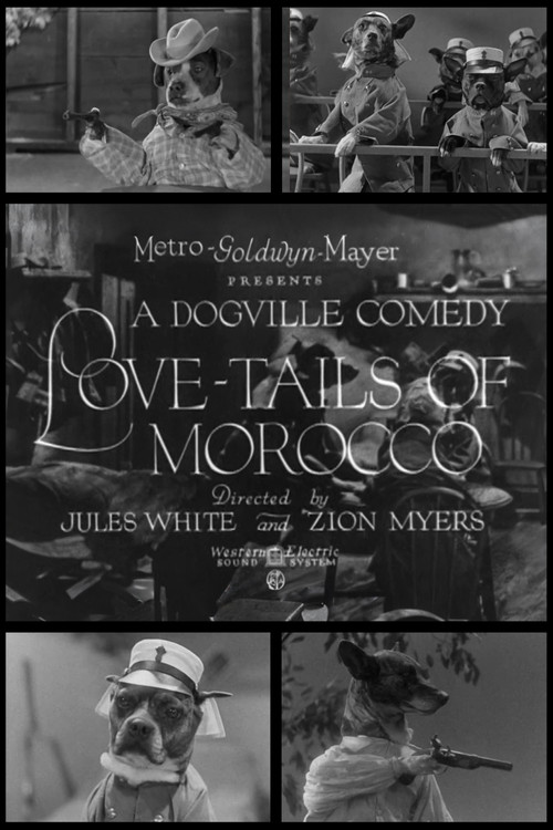 Movie poster for Love-Tails of Morocco (1931)