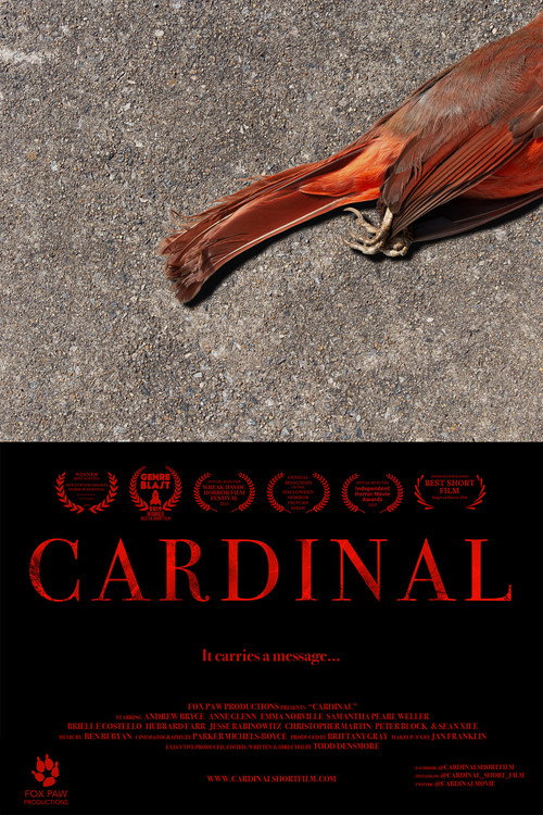 Movie poster for Cardinal (2020)