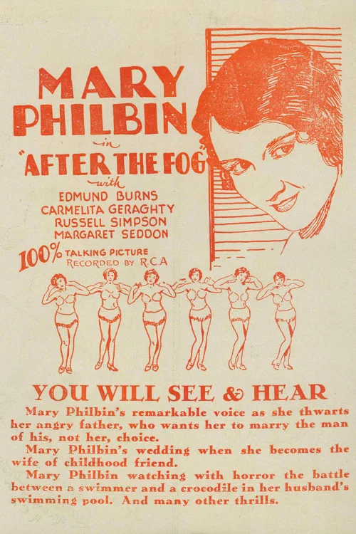 Movie poster for After the Fog (1929)