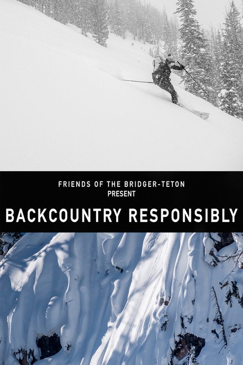Movie poster for Backcountry Responsibility (2024)