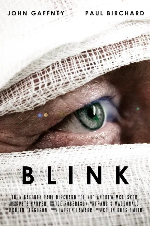 Movie poster for Blink (2013)