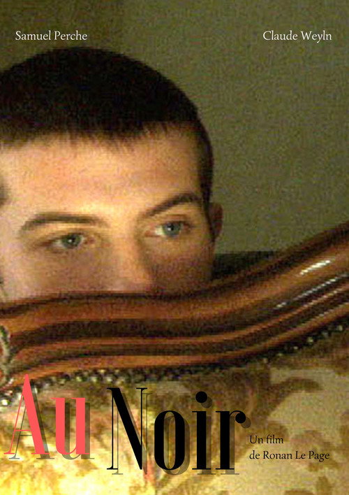 Movie poster for Au noir (2003)