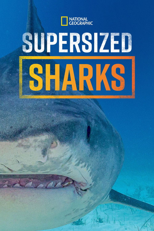 Movie poster for Supersized Sharks (2024)