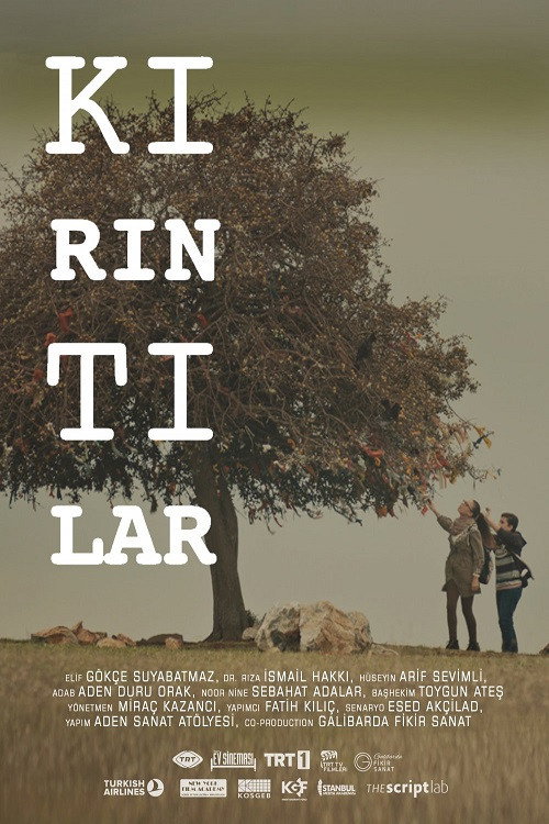 Movie poster for Kırıntılar (2016)