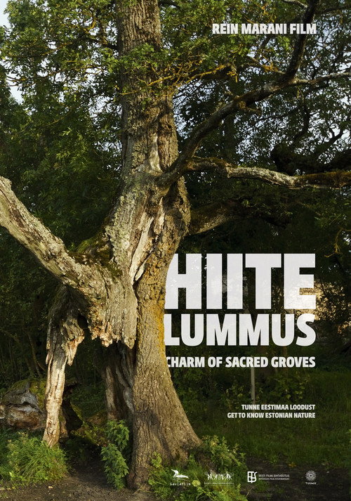 Movie poster for Charm of Sacred Groves (2013)