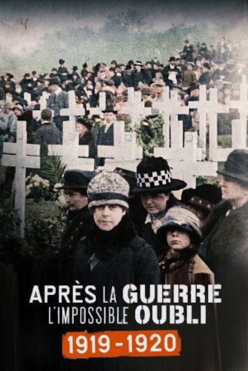 Movie poster for Après la guerre, l'impossible oubli (1919-1920) (2019)