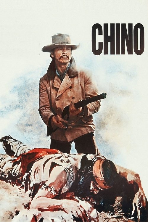 Movie poster for The Valdez Horses (1973)