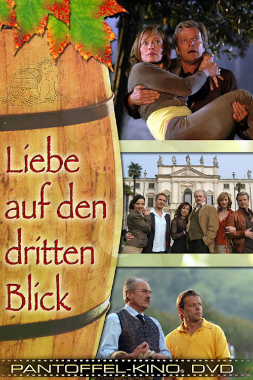 Movie poster for Liebe auf den dritten Blick (2007)