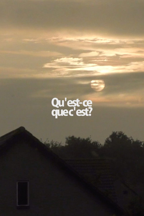 Movie poster for Qu'est-ce que c'est? (2016)