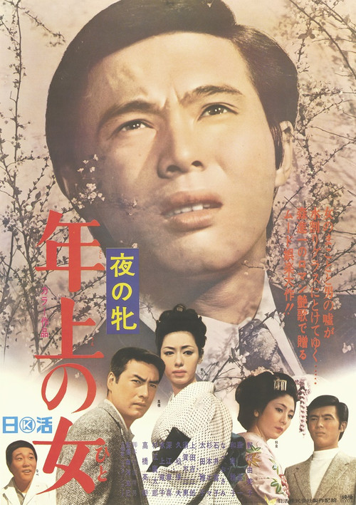 Movie poster for Women of the Night - Woman of Seniority (1969)