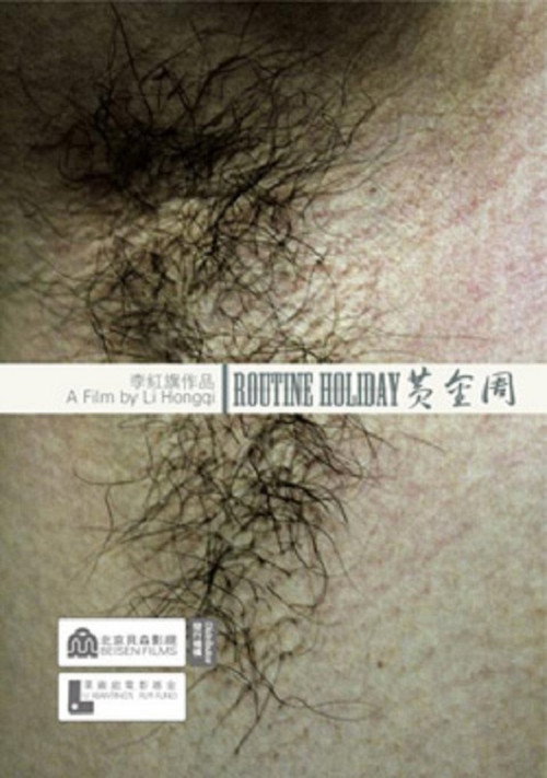 Movie poster for Routine Holiday (2008)