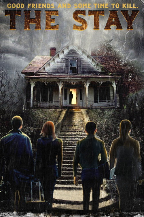 Movie poster for The Stay (2021)