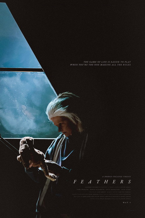Movie poster for Feathers (2024)