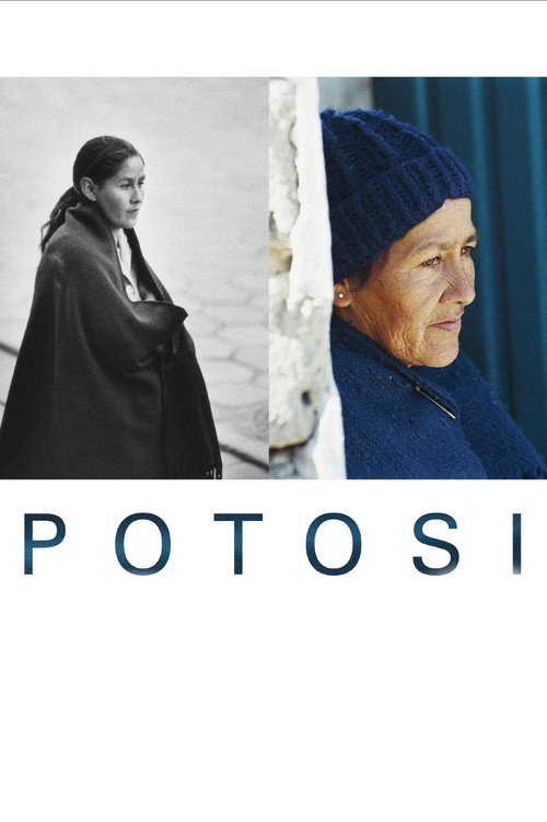 Movie poster for Potosi: The Journey (2006)
