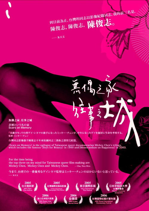 Movie poster for Scars on Memory (2005)
