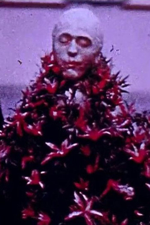 Movie poster for Images du carnaval de Bâle (1973)