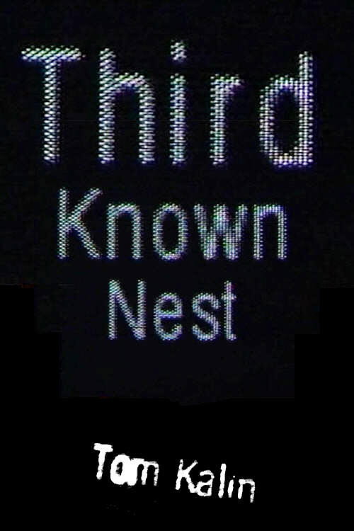 Movie poster for Third Known Nest (1999)