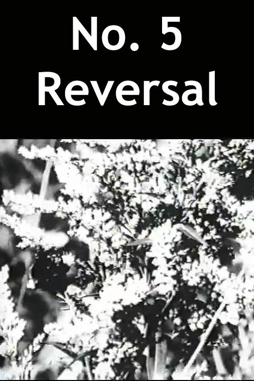 Movie poster for No. 5 Reversal (1989)