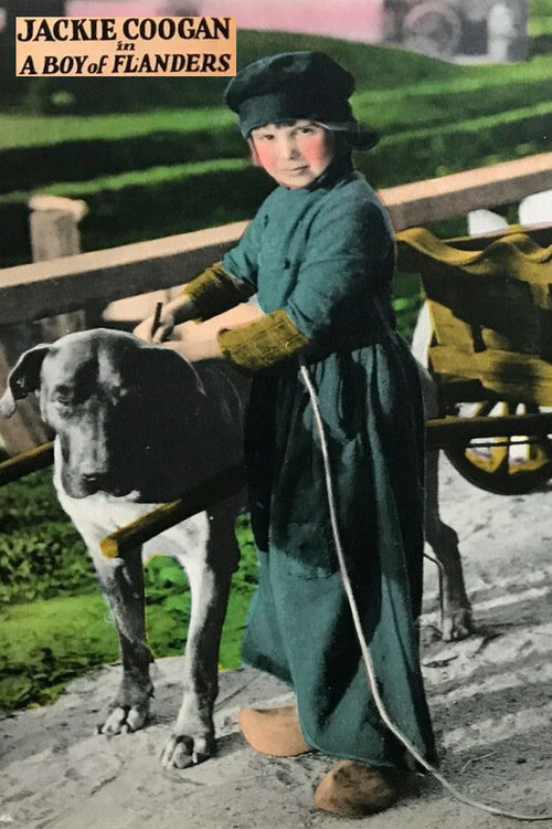Movie poster for A Boy of Flanders (1924)