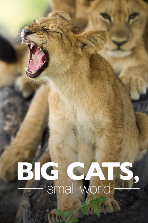 Big Cats, Small World poster
