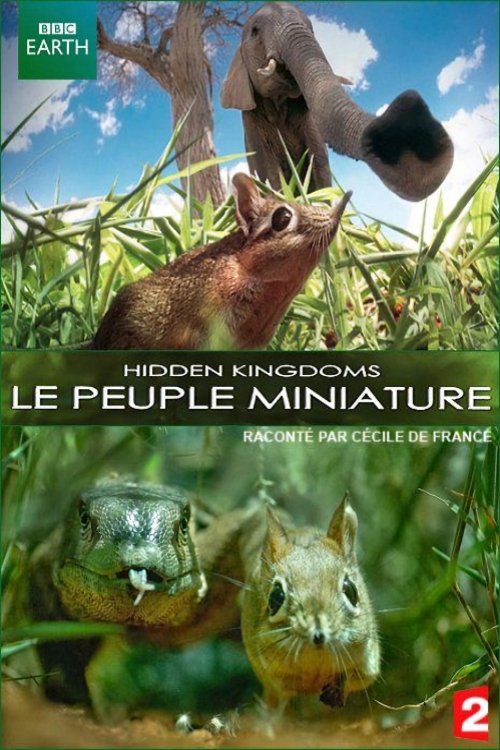 Movie poster for Le peuple miniature (2014)