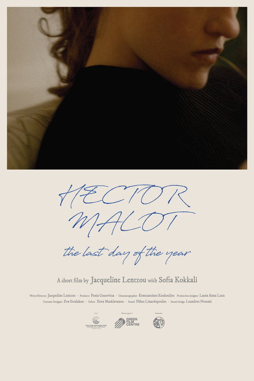 Movie poster for Hector Malot: The Last Day of the Year (2018)