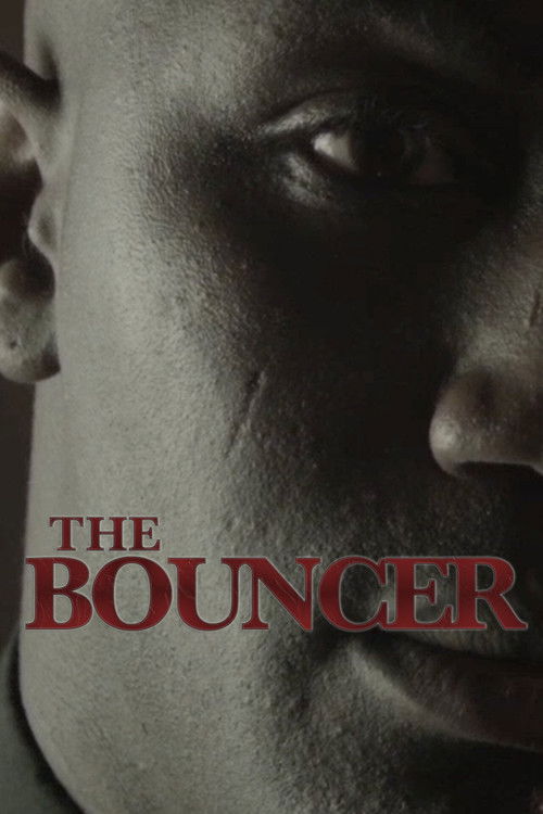 The Bouncer poster