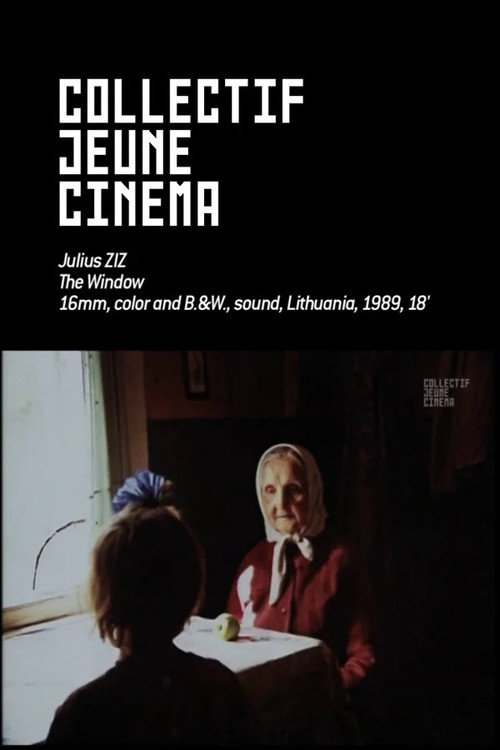 Movie poster for The Window (1989)
