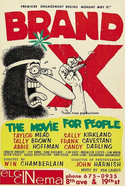Movie poster for Brand X (1970)