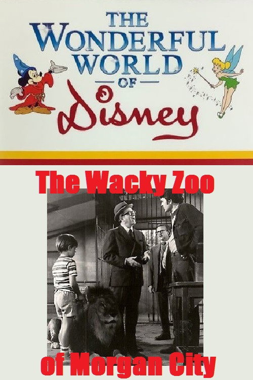 Movie poster for The Wacky Zoo of Morgan City (1970)