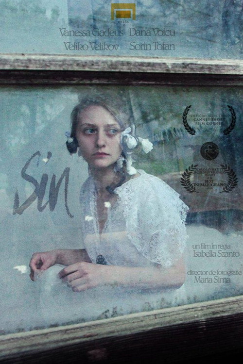 Movie poster for Sin (2014)