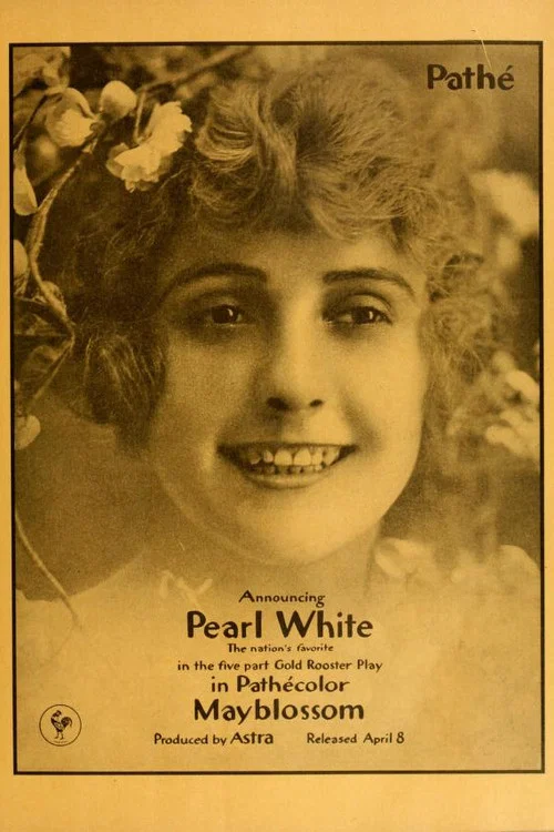 Movie poster for Mayblossom (1917)