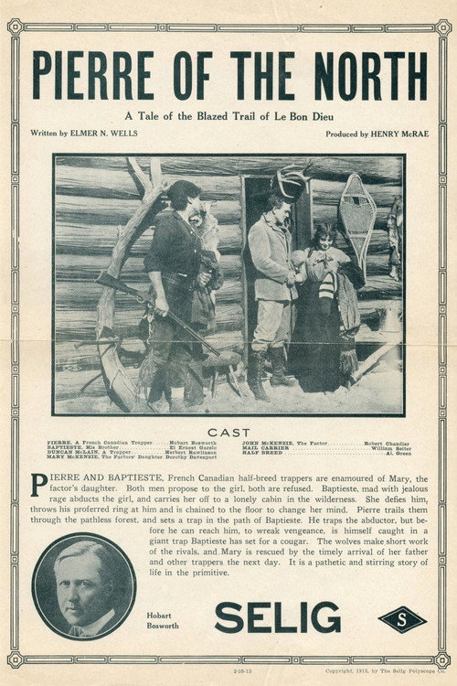Movie poster for Pierre of the North (1913)
