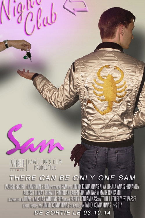 Movie poster for Sam : Drive Parody (2014)
